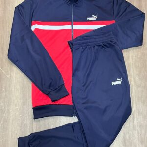 Agasalho Masculino Puma Poly Colorblock